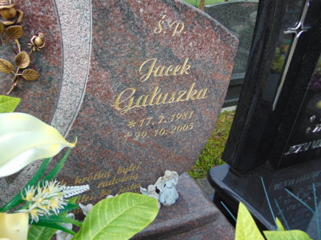 Jacek Gałuszka 1981 Strumień - Grobonet - Wyszukiwarka osób pochowanych