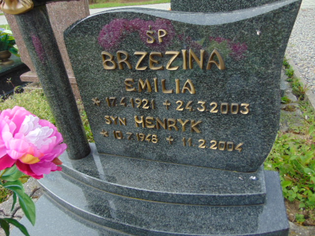 Jan Brzezina 1950 Strumień - Grobonet - Wyszukiwarka osób pochowanych