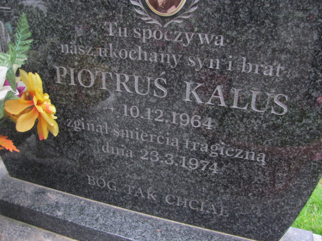 Piotr Kalus 1964 Strumień - Grobonet - Wyszukiwarka osób pochowanych