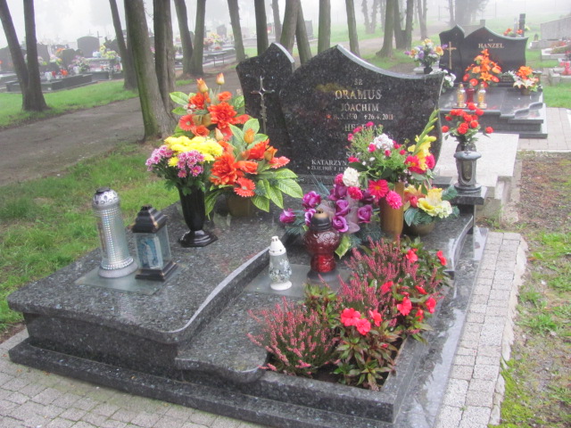 Grób Franciszek Sosna